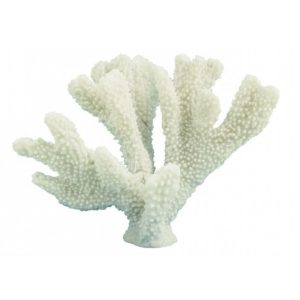 Horn Coral 23CM By Best Price Furniture