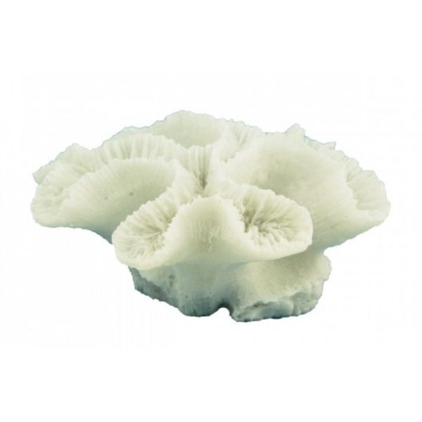 Ridged Cactus Coral By Best Price Furniture